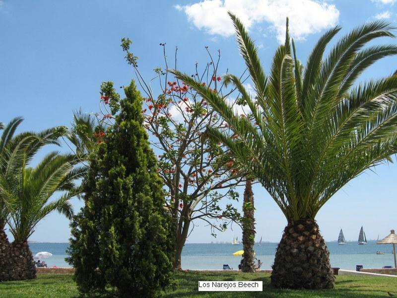Beautiful 1 Bedroom Apartment In Roda, Los Alcazares. Larger Than Average. Luaran gambar